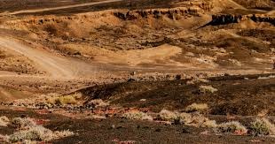 《SD高达G世纪永恒》确定将于本月推出！14日开预载