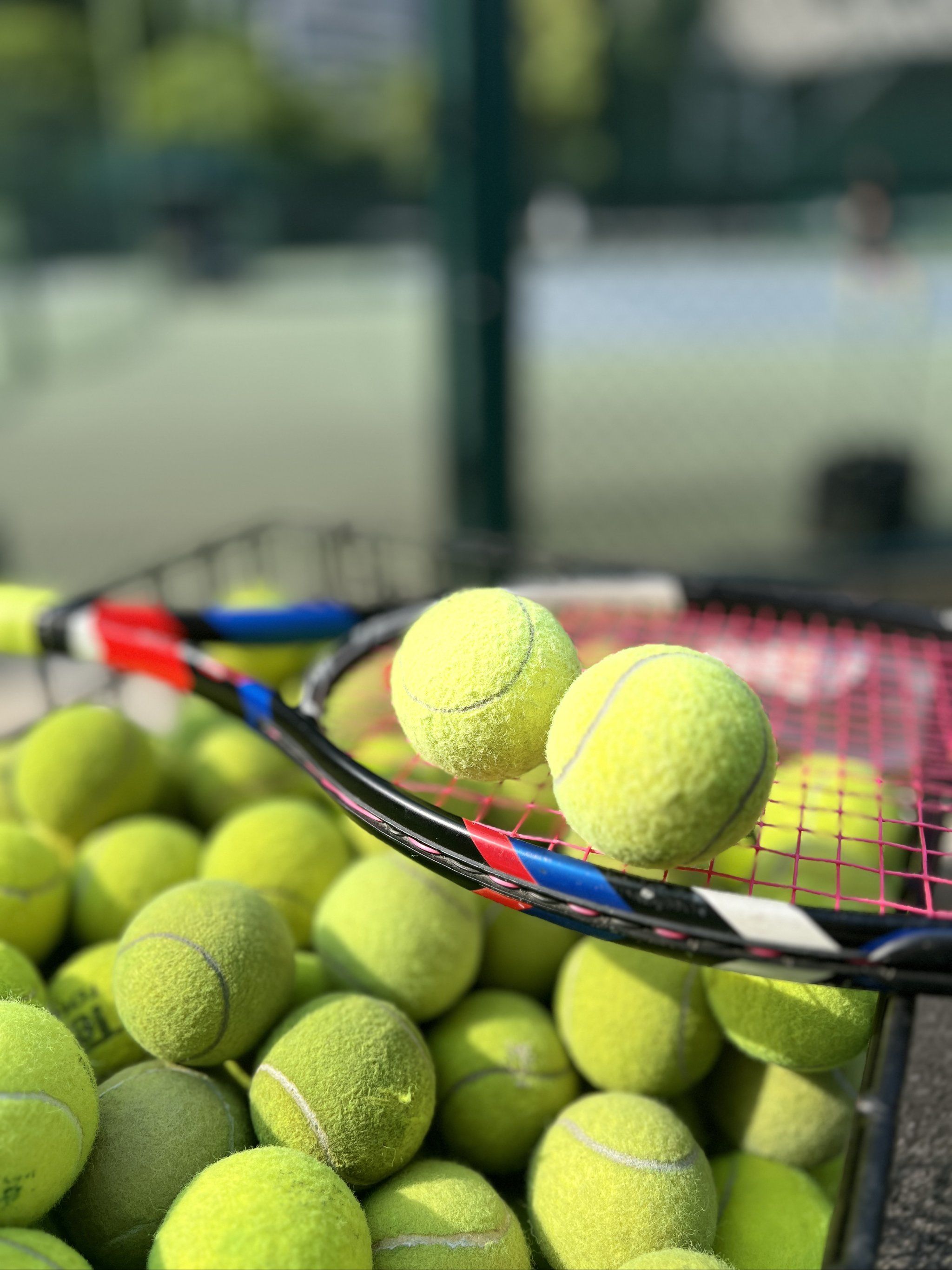 现有人选可 现有人选可